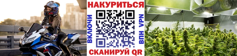 Купить закладки  Краснознаменск  Канабис White Widow 